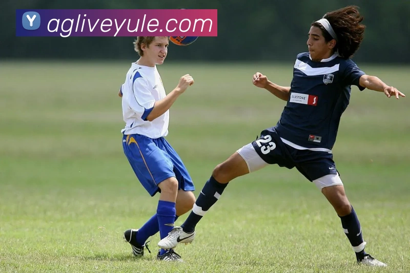 AG真人游戏平台平台生态图